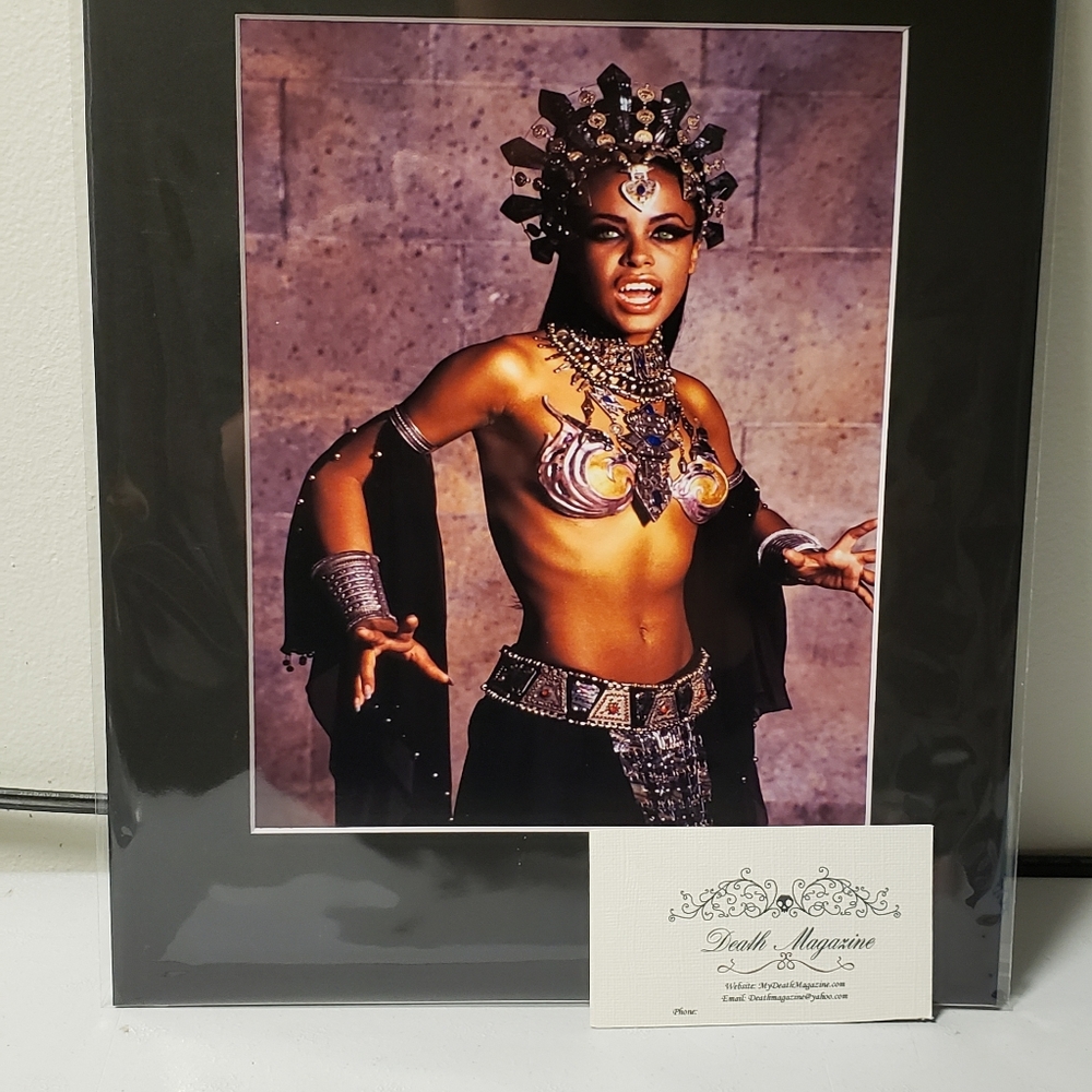 Queen of the damned  8x11 matted print